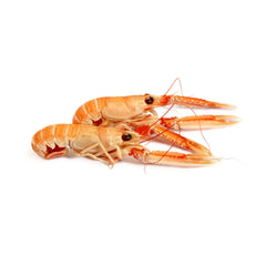 Langoustine from Denmark Frozen 21-30pcs