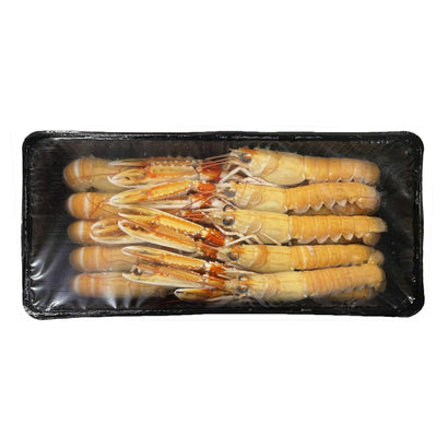 Langoustine 31-40pcs Frozen_2