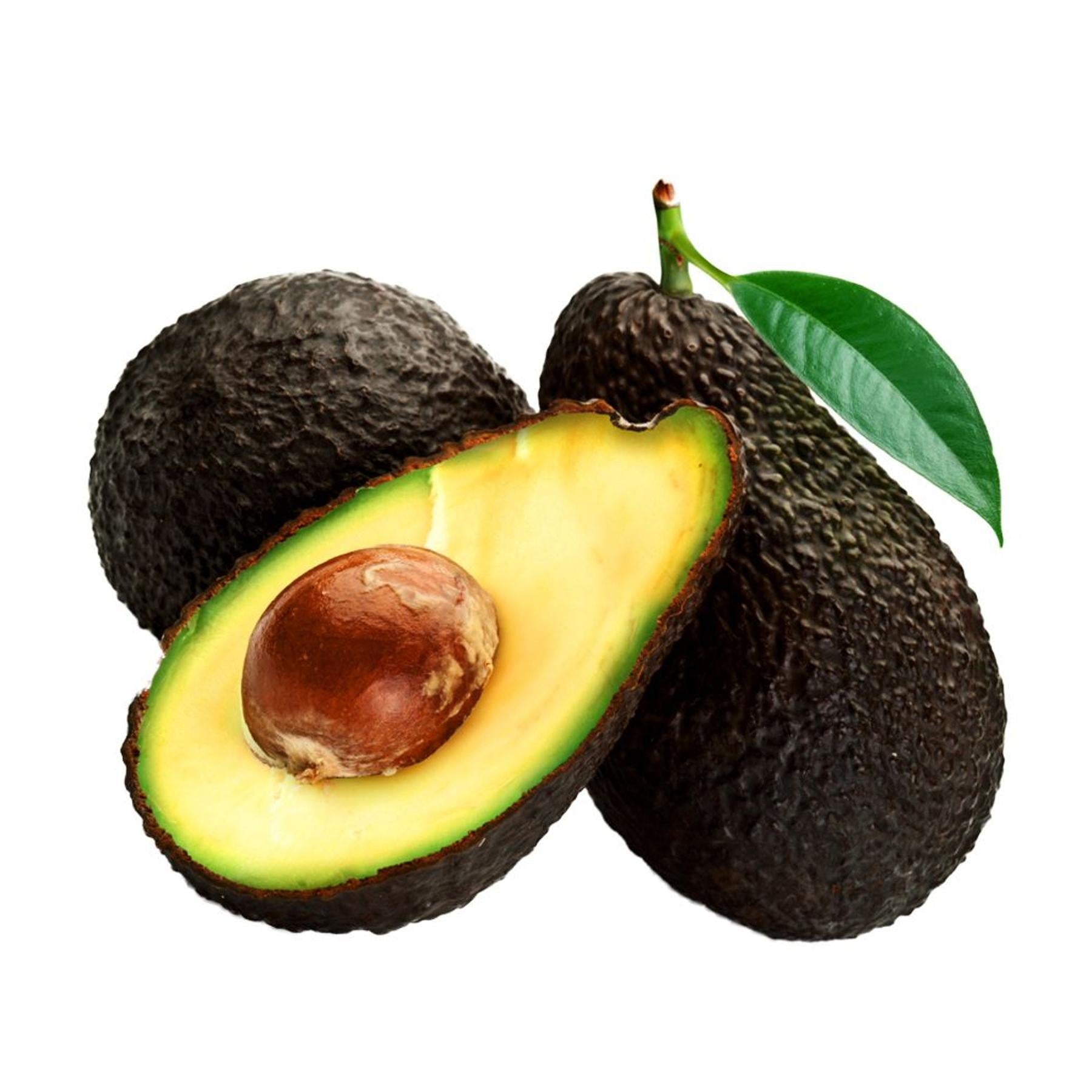 Avocado Hass from Mexico | Casinetto