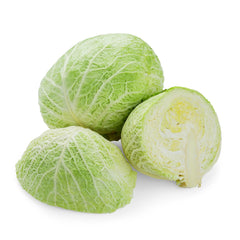 Cabbage Savoy from Italy