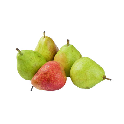 Pears Forelle_0