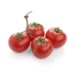 Tomato Round from Italy