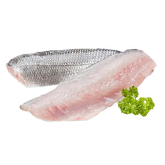 Baramundi Fillet with Skin Frozen