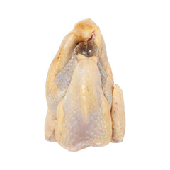Guinea Fowl from France Frozen