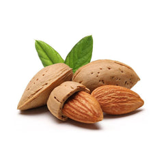 Almonds with Shell from Italy