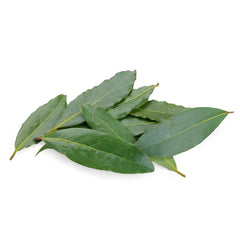 Bay Leaves from Italy