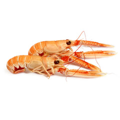 Langoustine from Sicily Frozen 10-15pcs