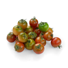 Tomatoes Camone from Italy