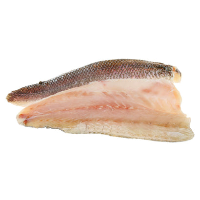 Seabass Fillet Frozen_0