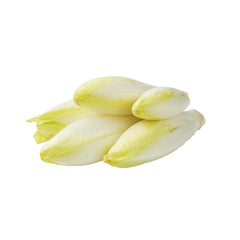 Chicory White from Holland