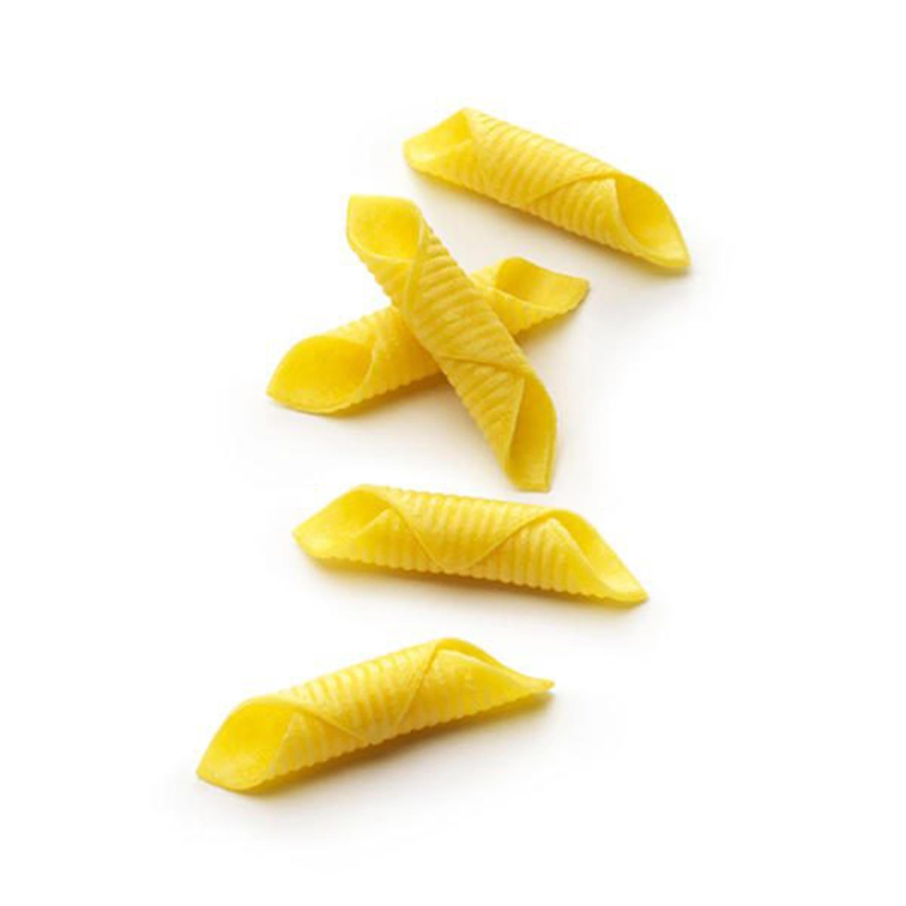 Fresh Garganelli Pasta Frozen | Casinetto