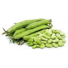 Fava Broad Beans from Italy