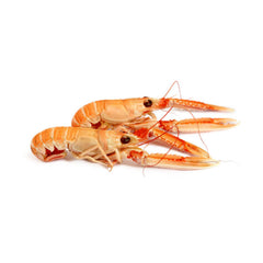 Langoustine III L ~45pcs Frozen