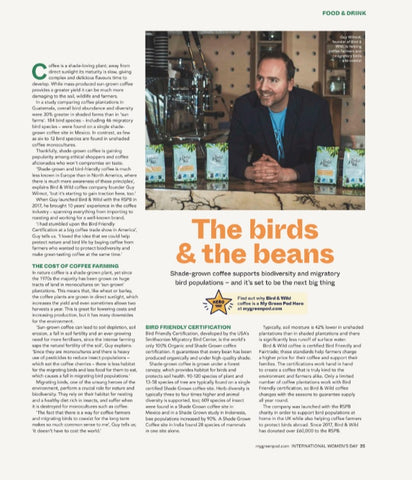 Bird & Wild Coffee in My Green Pod Magazine