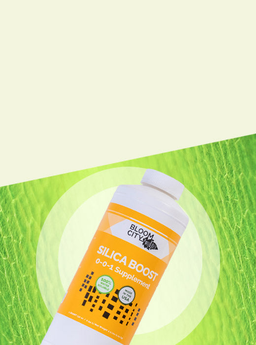 Silica Boost  Growing Supplement - Bloom City