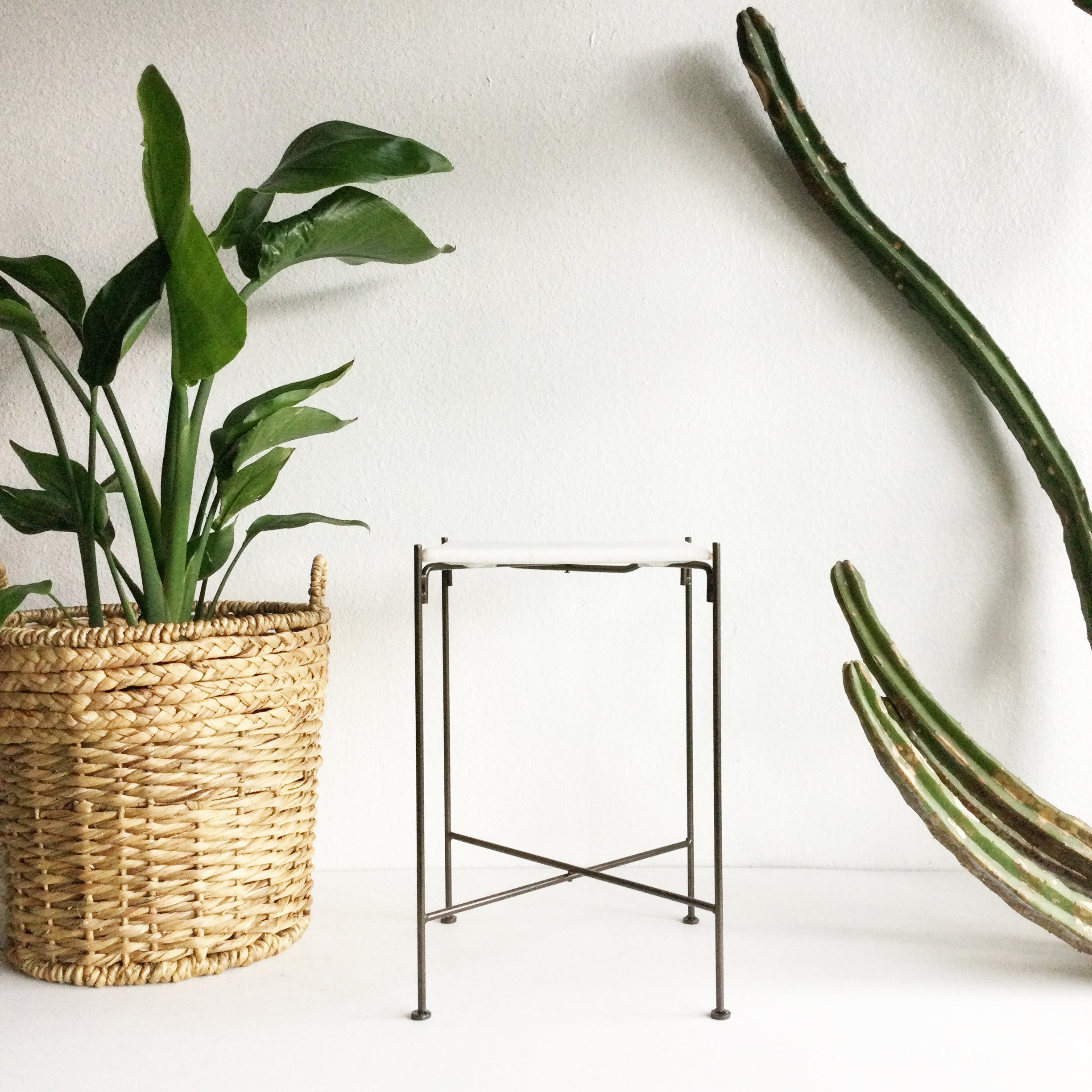 Eco Plastic and Metal Plant Stand