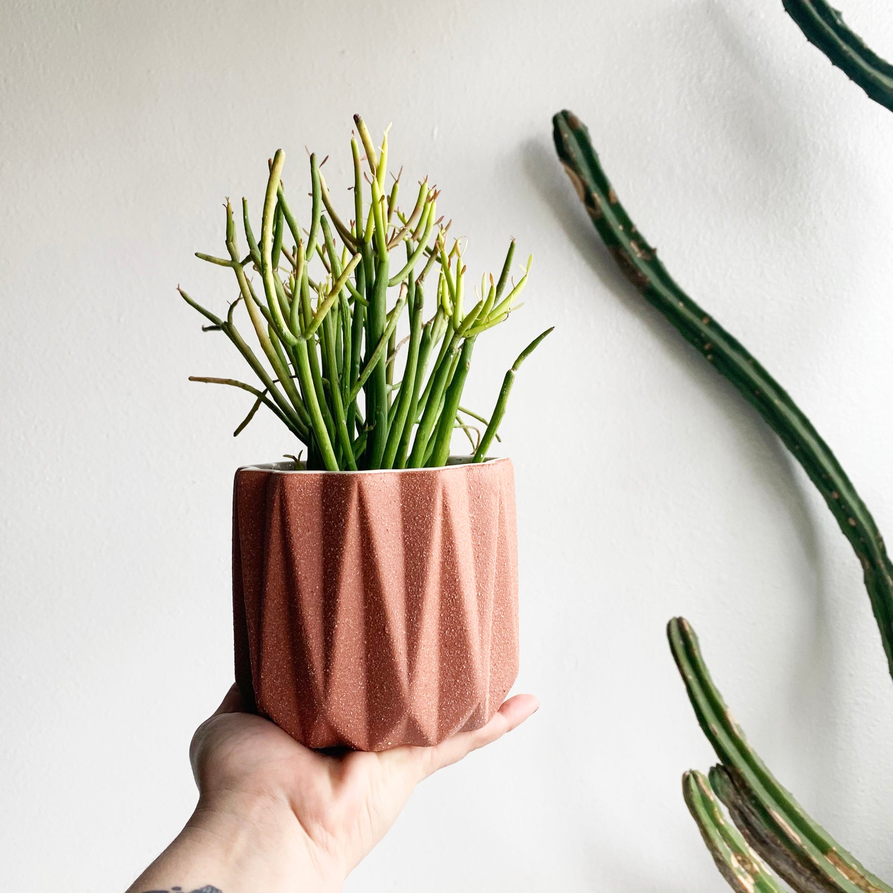 5" Pot/Planter-Dark Dusty Rose with Sandstone Finish