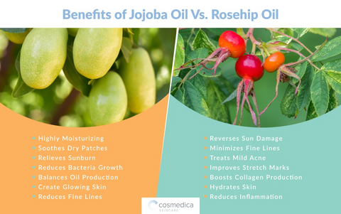 Benefits of Jojoba Oil and Rosehip Oil