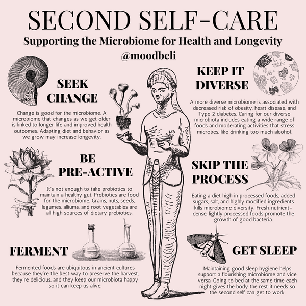 Second Self-care: Supporting the Microbiome for Healthy and Longevity