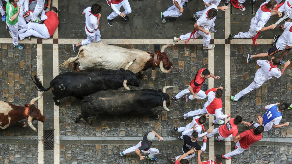 What should you do if a bull charges at you?