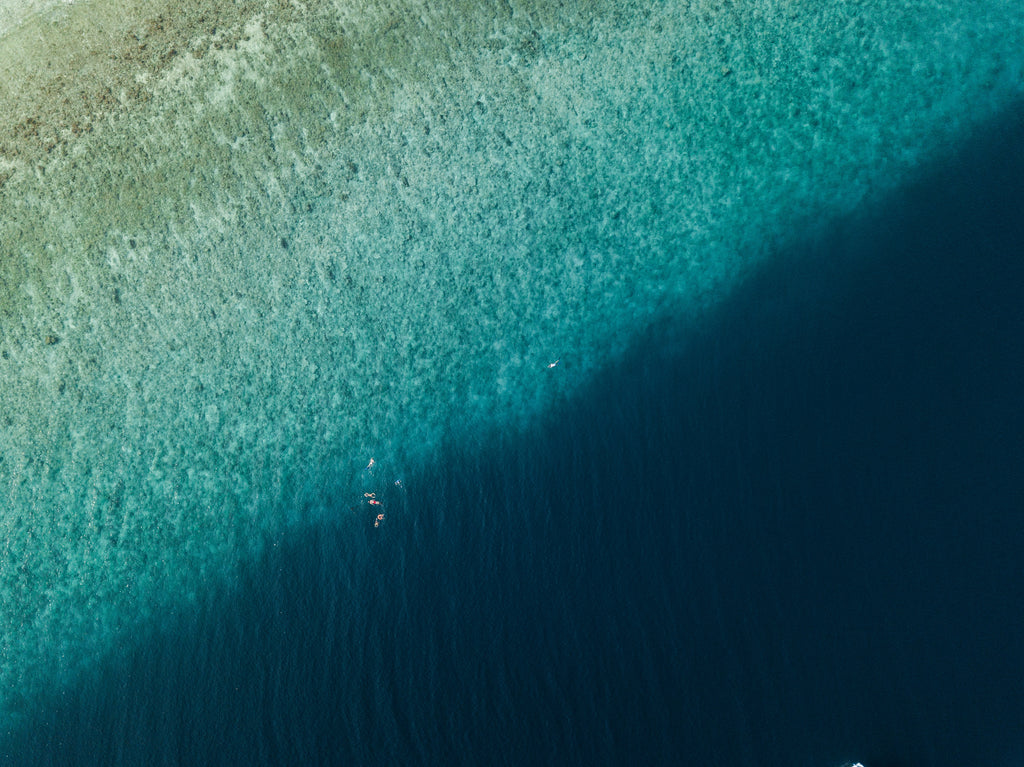 Where in water do shark attacks usually happen?