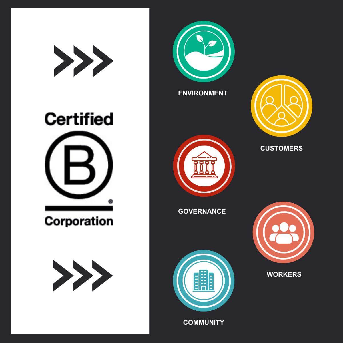 Fraser Tea B Corporation 5 core impact areas