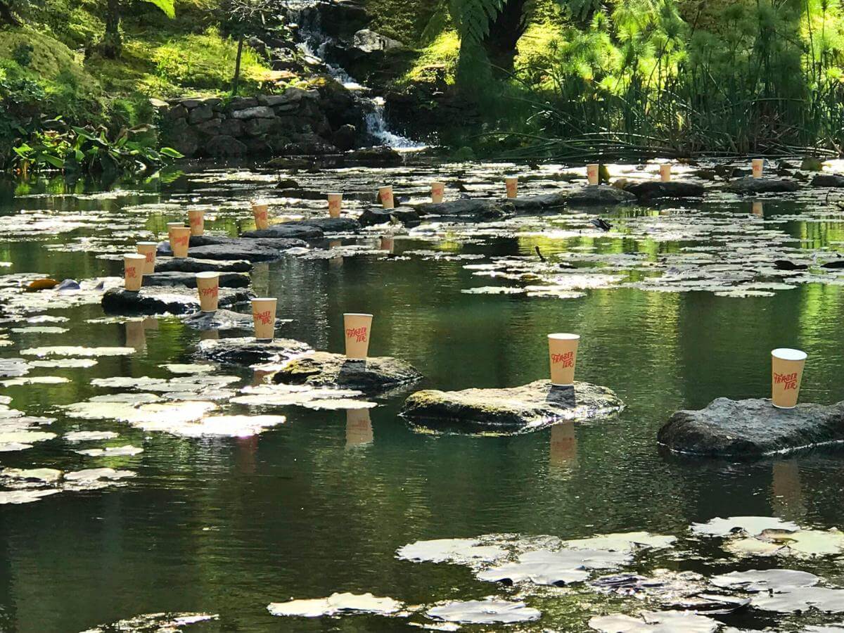 Fraser Tea cups in the natural environment