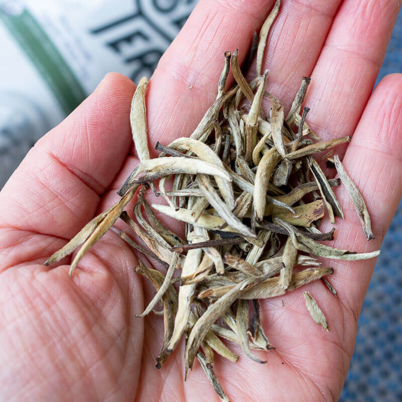 Silver Needle Organic White loose leaf tea.