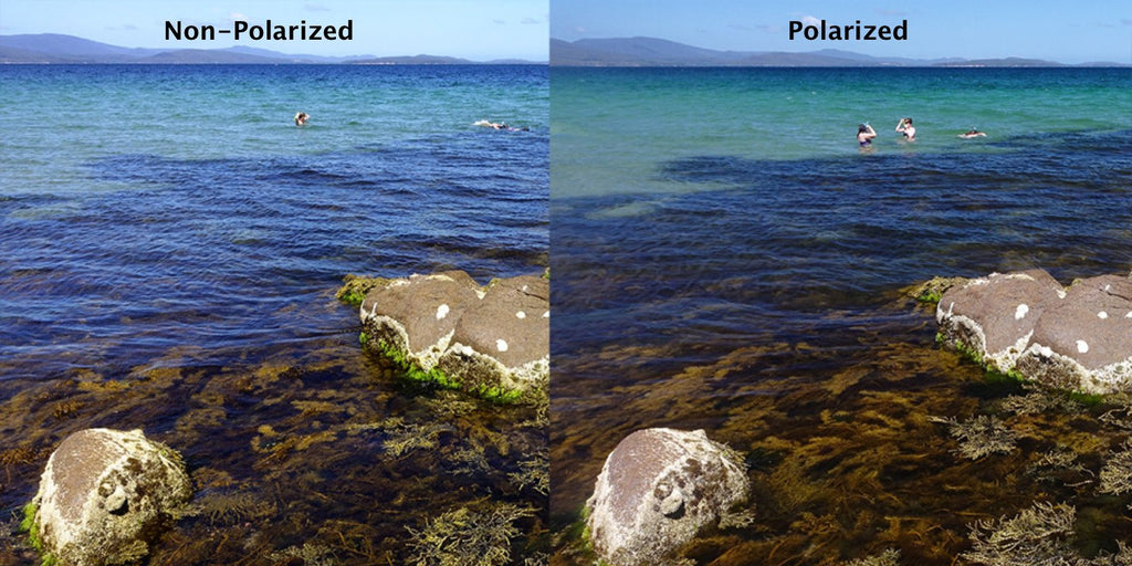 polarized glasses water