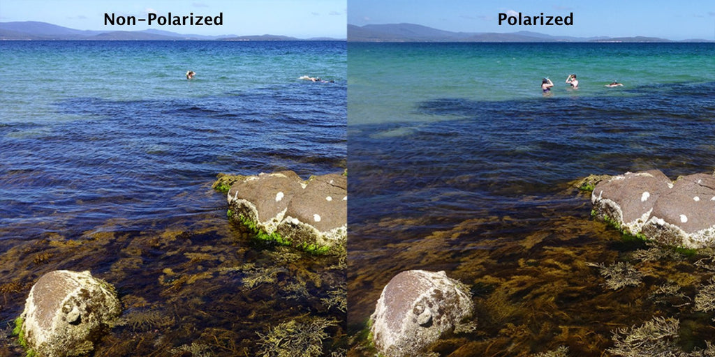 Polarized vs Non-polarized Sunglasses