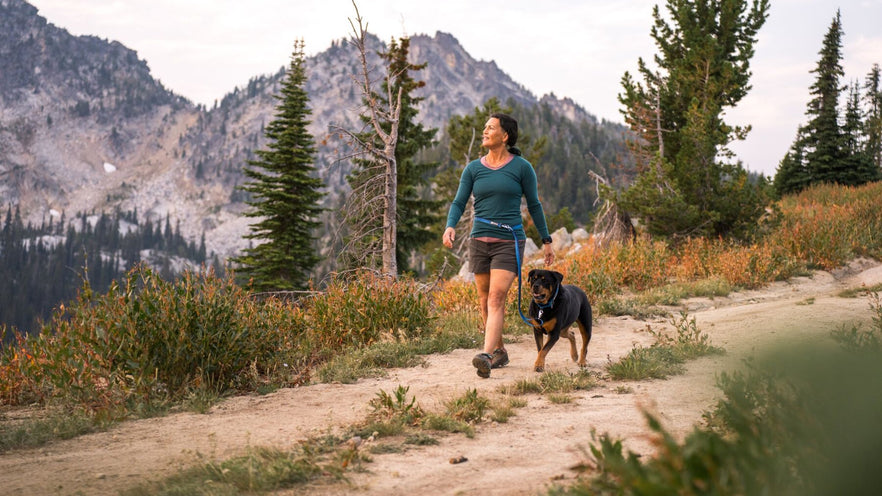 ruffwear bungee leash