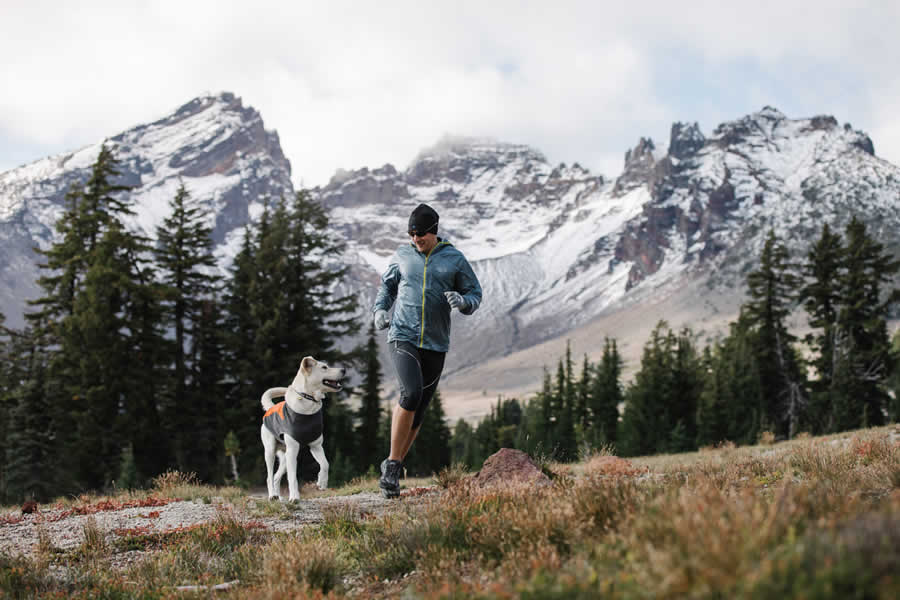 Trail runner runs at base of Broken Top Mountain with dog in climate changer fleece.