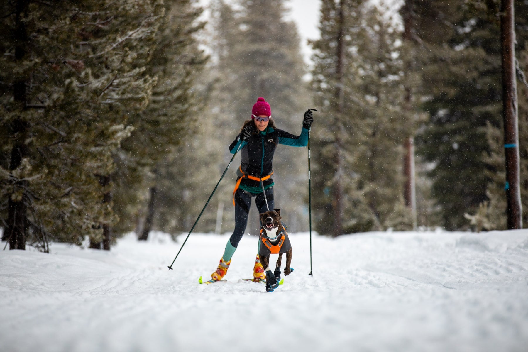 Kelly and Juniper Skijore in the snowy woods. Juniper is also wearing Polar Trex Boots.