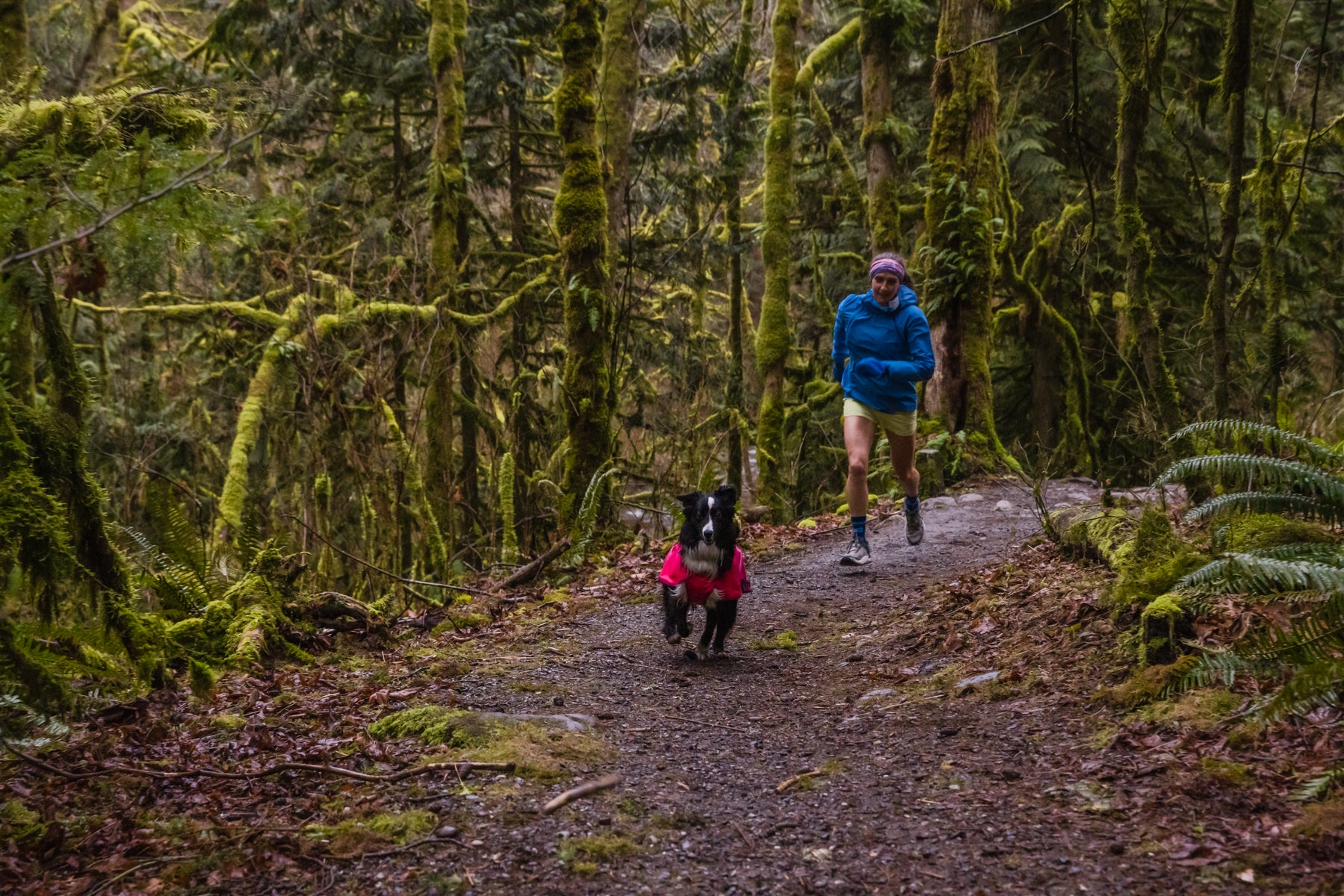 Krissy and PD run in a dense, green forest on a rainy day