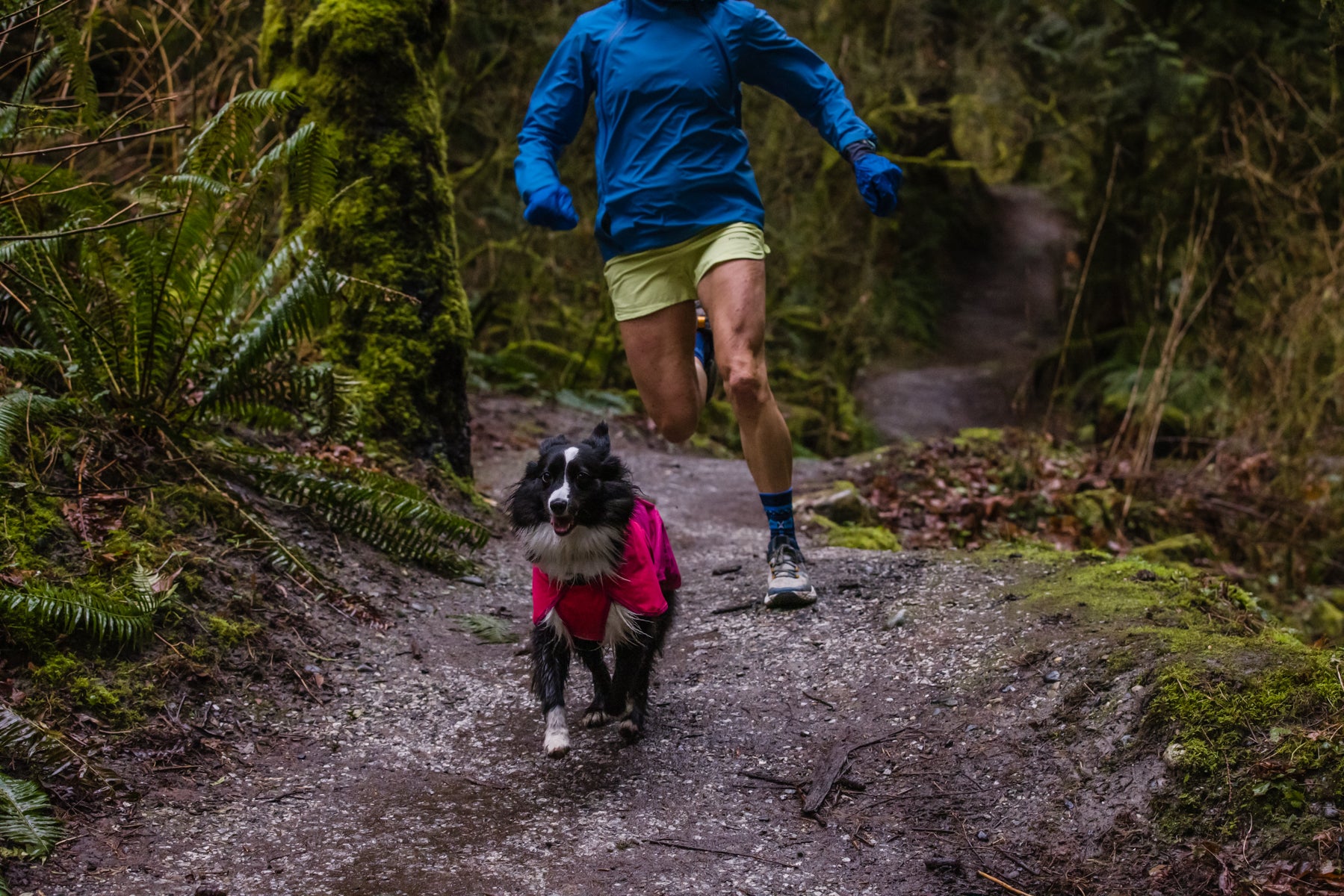 Krissy trail running with her dog PD that's wearing a pink Sun Shower Dog Rain Jacket 