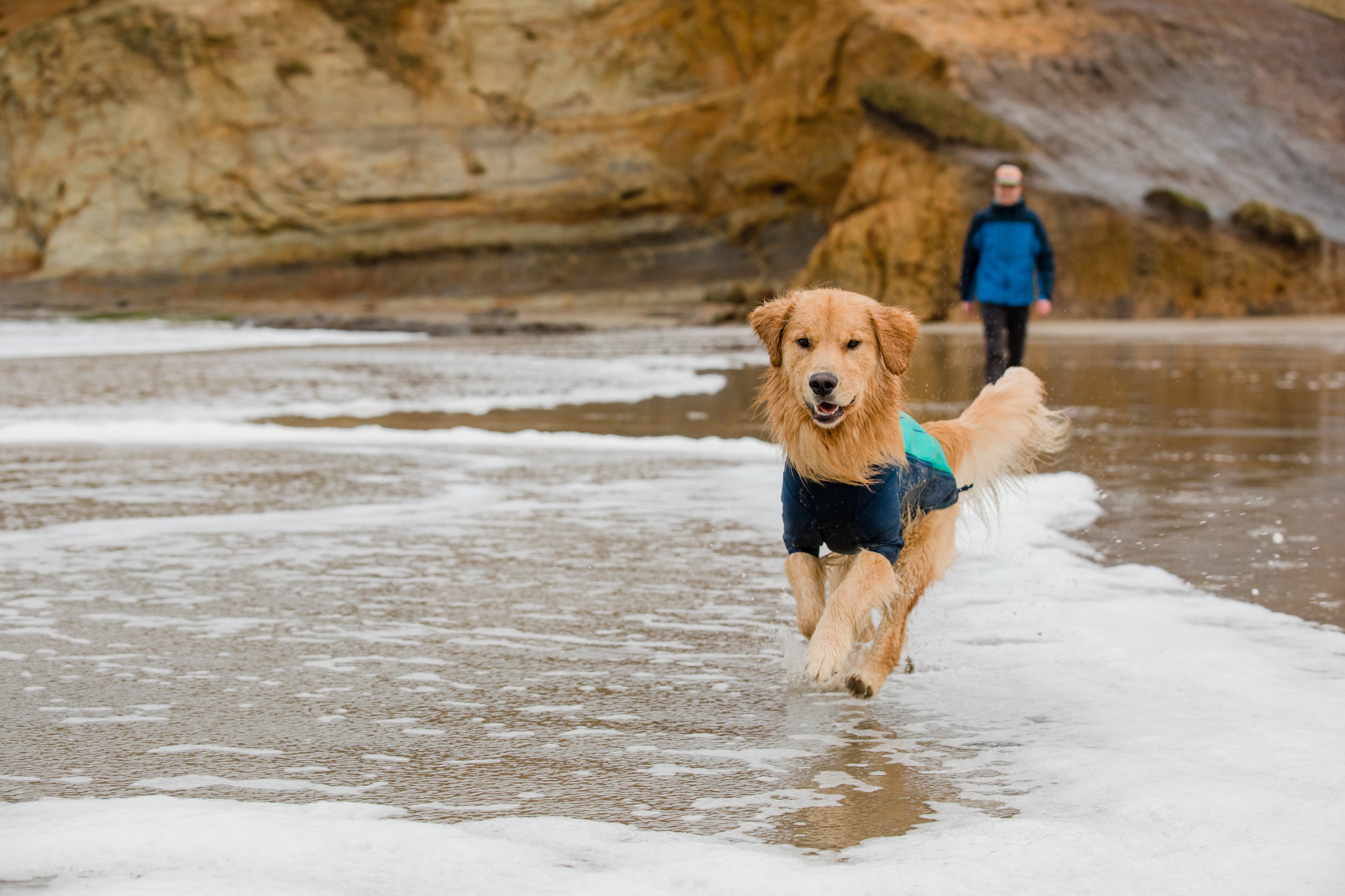 A dog wearing a Ruffwear Undercoat™ Water Jacket runs along a beach.