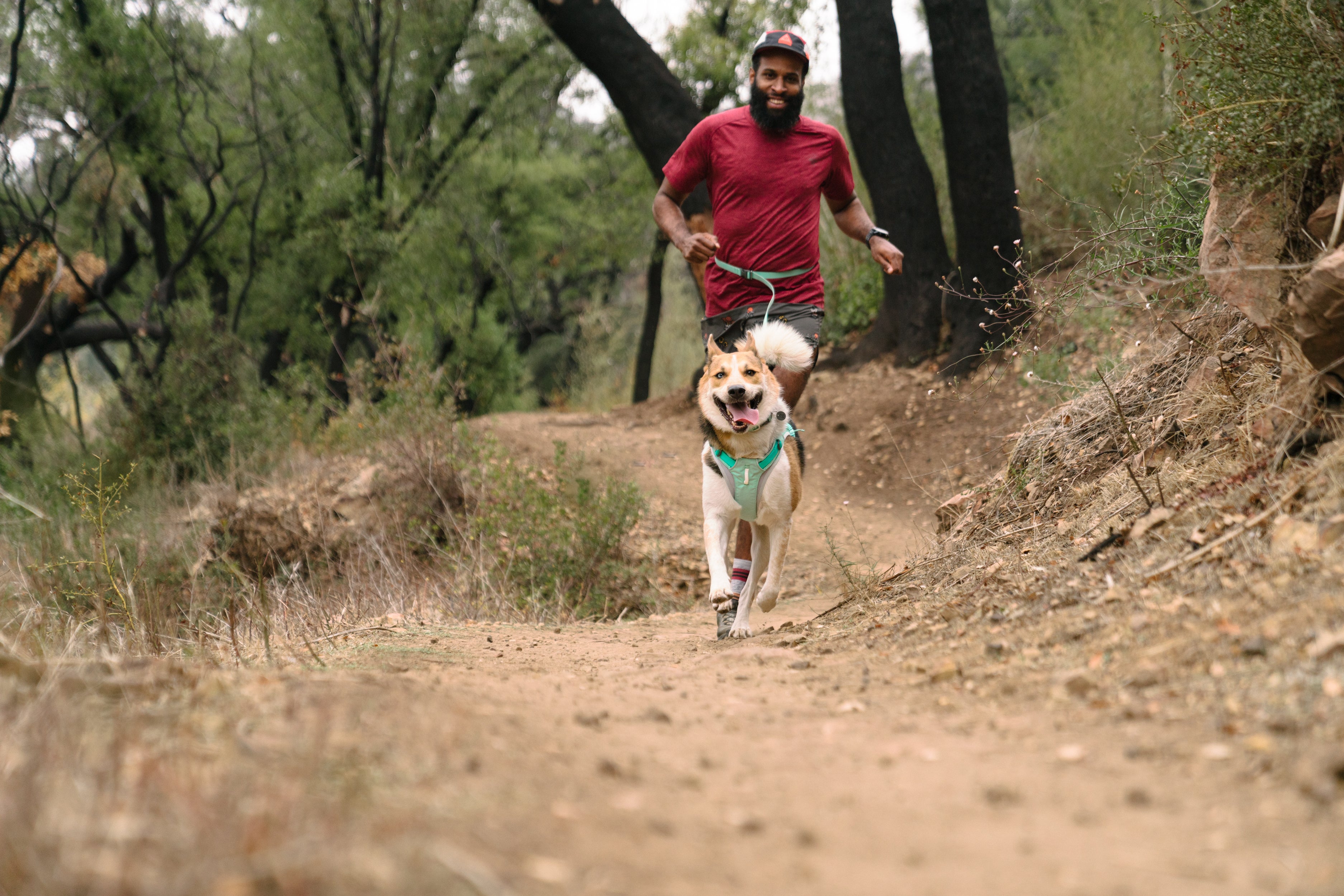 A man and his dog run on a trail. 