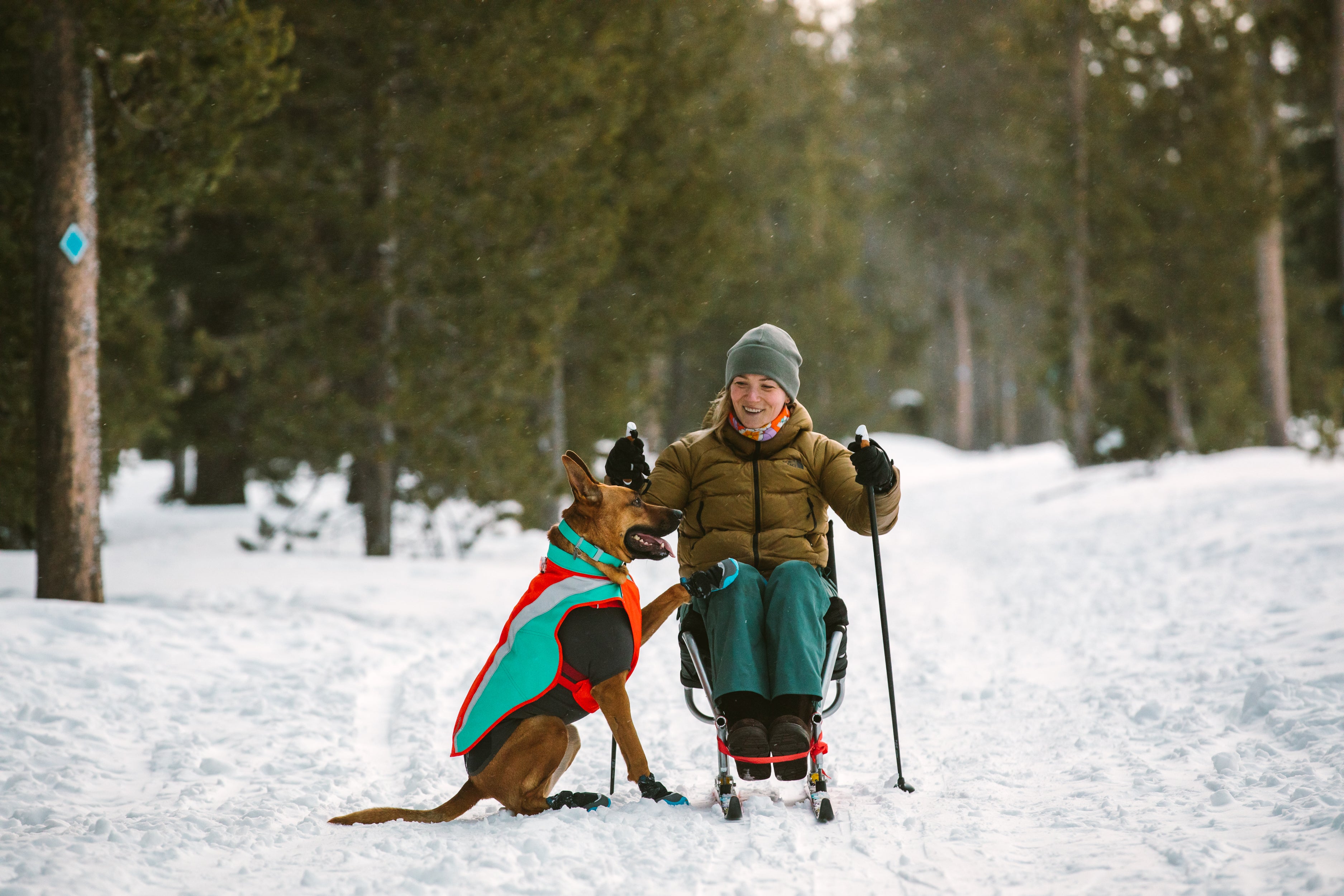 A dog puts his paw on his owner's knee, who is in adaptive skis.