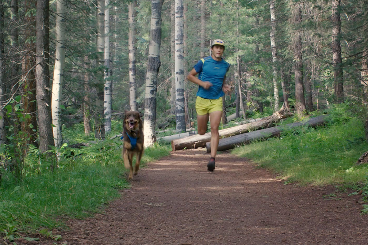 Nico and Sol run along trail in front range dog harness with front clip.