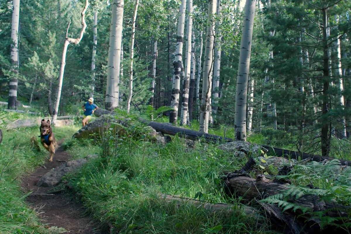 Nico and Sol run along tacky dirt on trail surrounded by green grass.