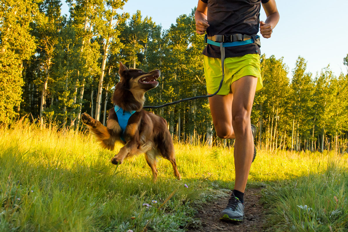 Nico in trail runner belt with Sol in front range harness out for a trail run at sunset.
