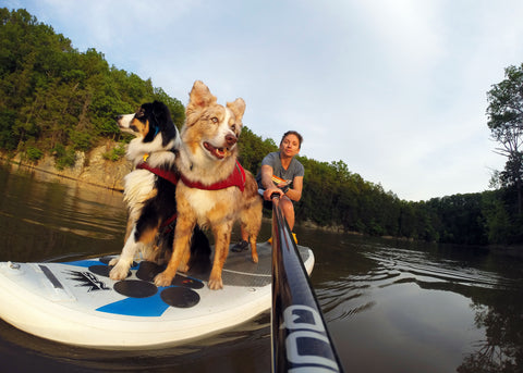 Maria paddleboarding with her two dogs