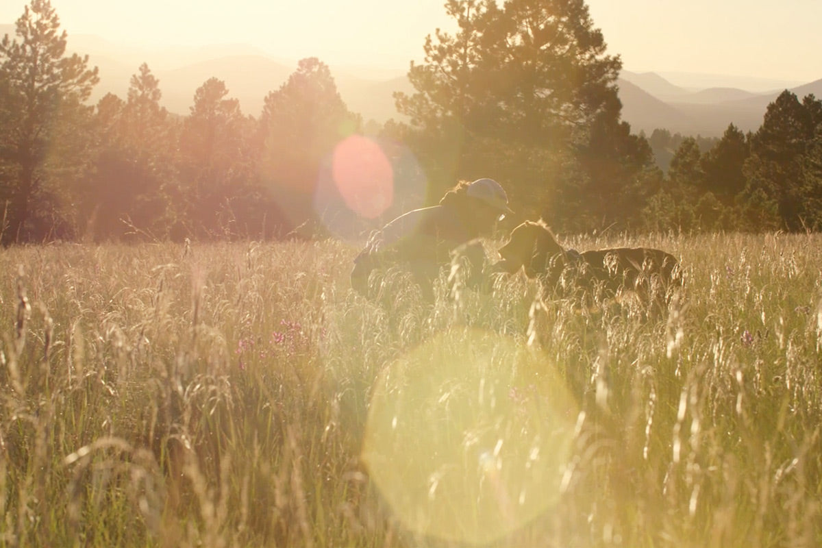 Nico and sol at sunset in meadow.