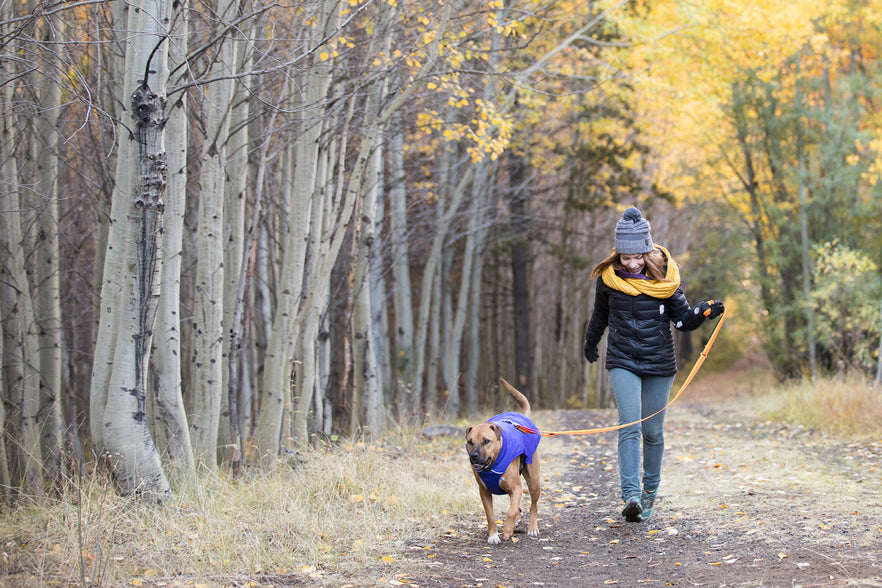 ruffwear sweater