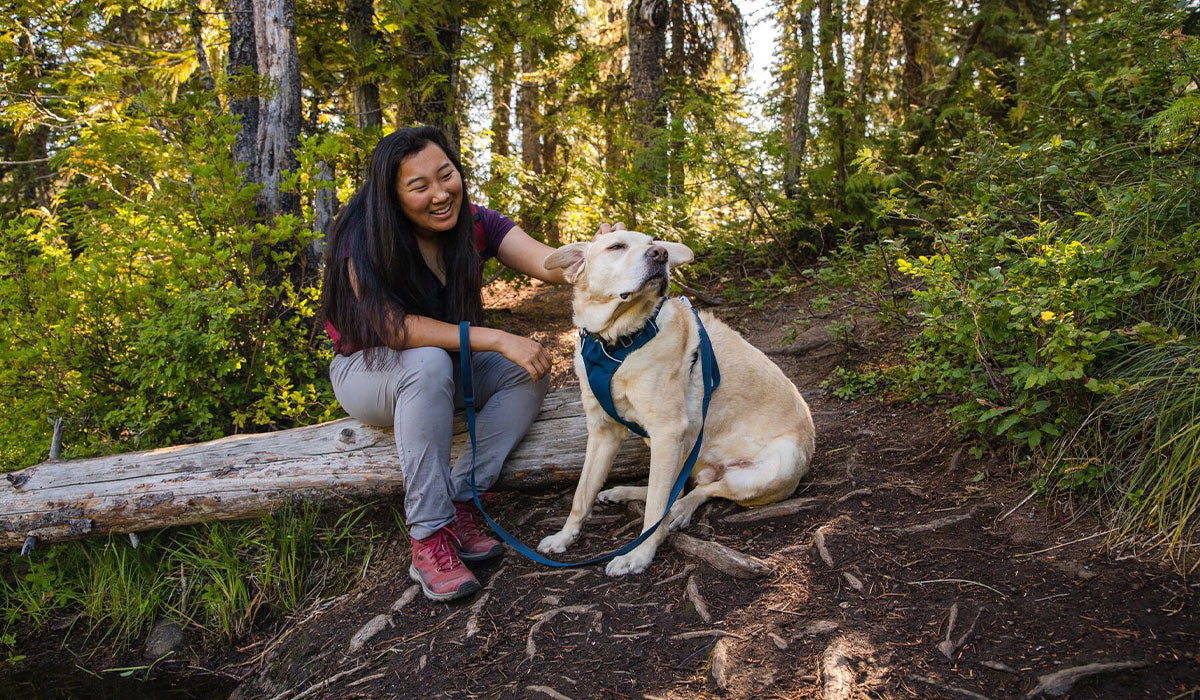 Woman sits on log on trail petting her dog in blue moon front range harness and matching eash.
