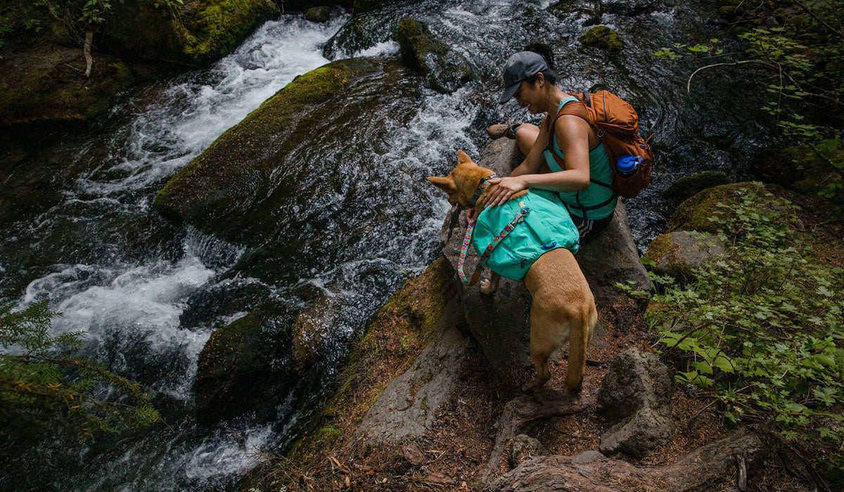 Woman and her dog in front range day pack look down on an oregon waterfall mid hike.
