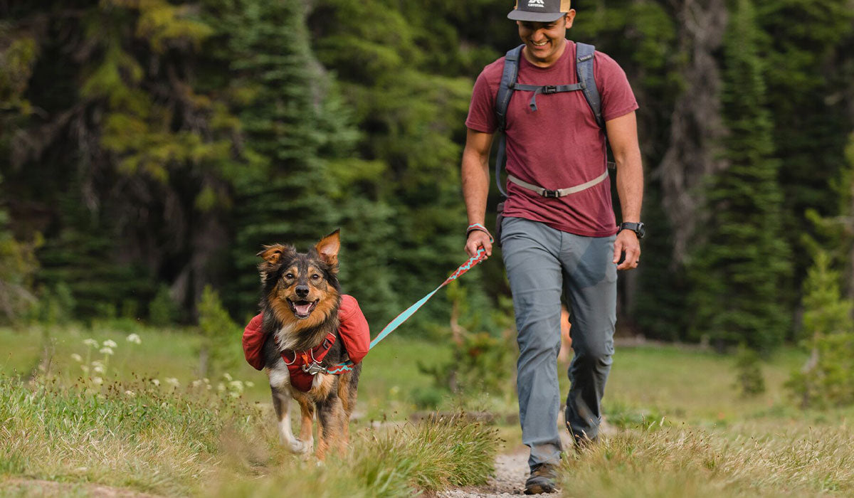 Hector hikes with dog on flat out leash and attached to front range day pack along trail.