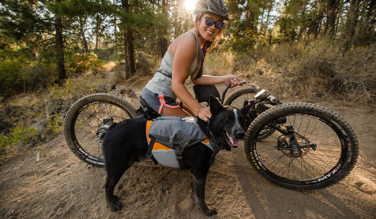 Anna takes a trail break on her off road hand cycle next to dog Bernie in Jet Stream and switchbak dog harness.