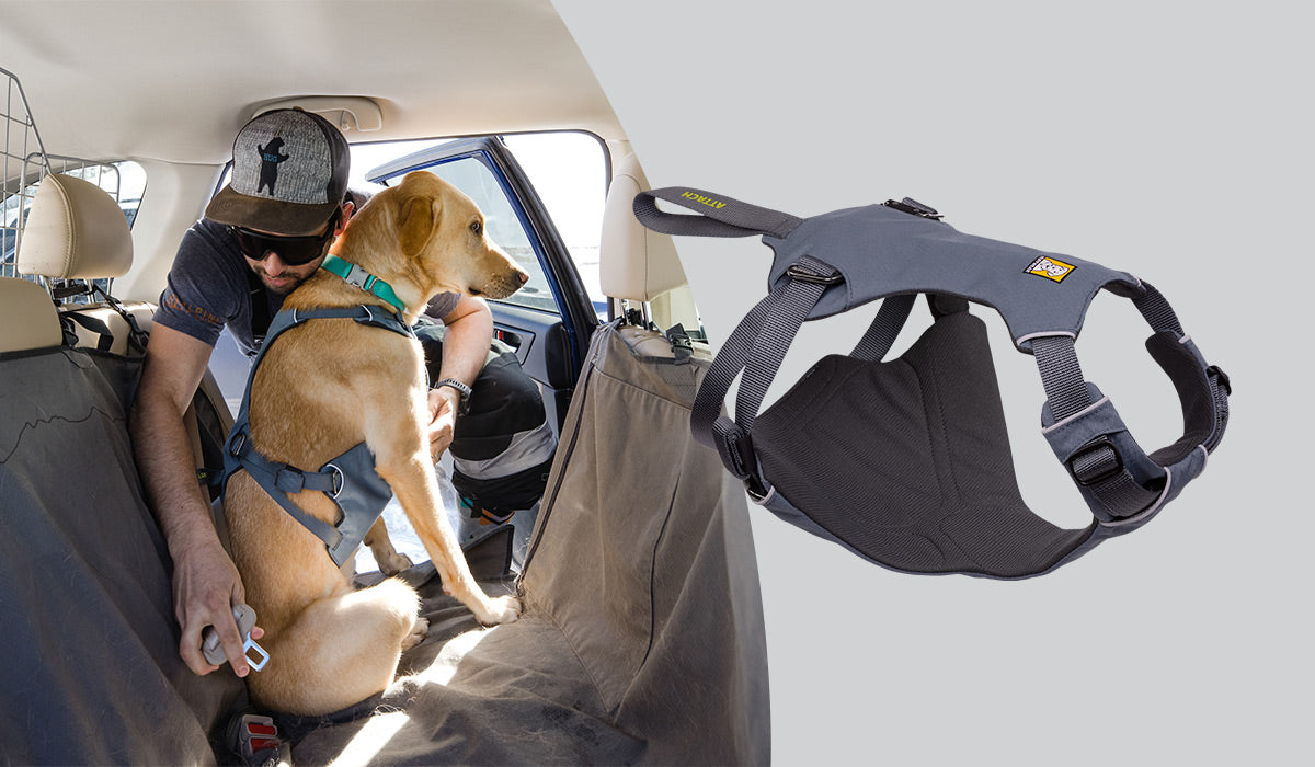 Load Up Car Dog Harness