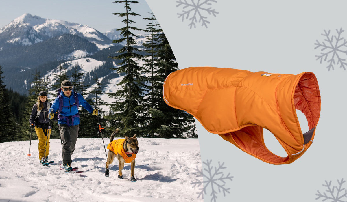Check out Ruffwear's new colors for the Quinzee™ Dog Jacket.